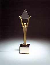 Stevie Award